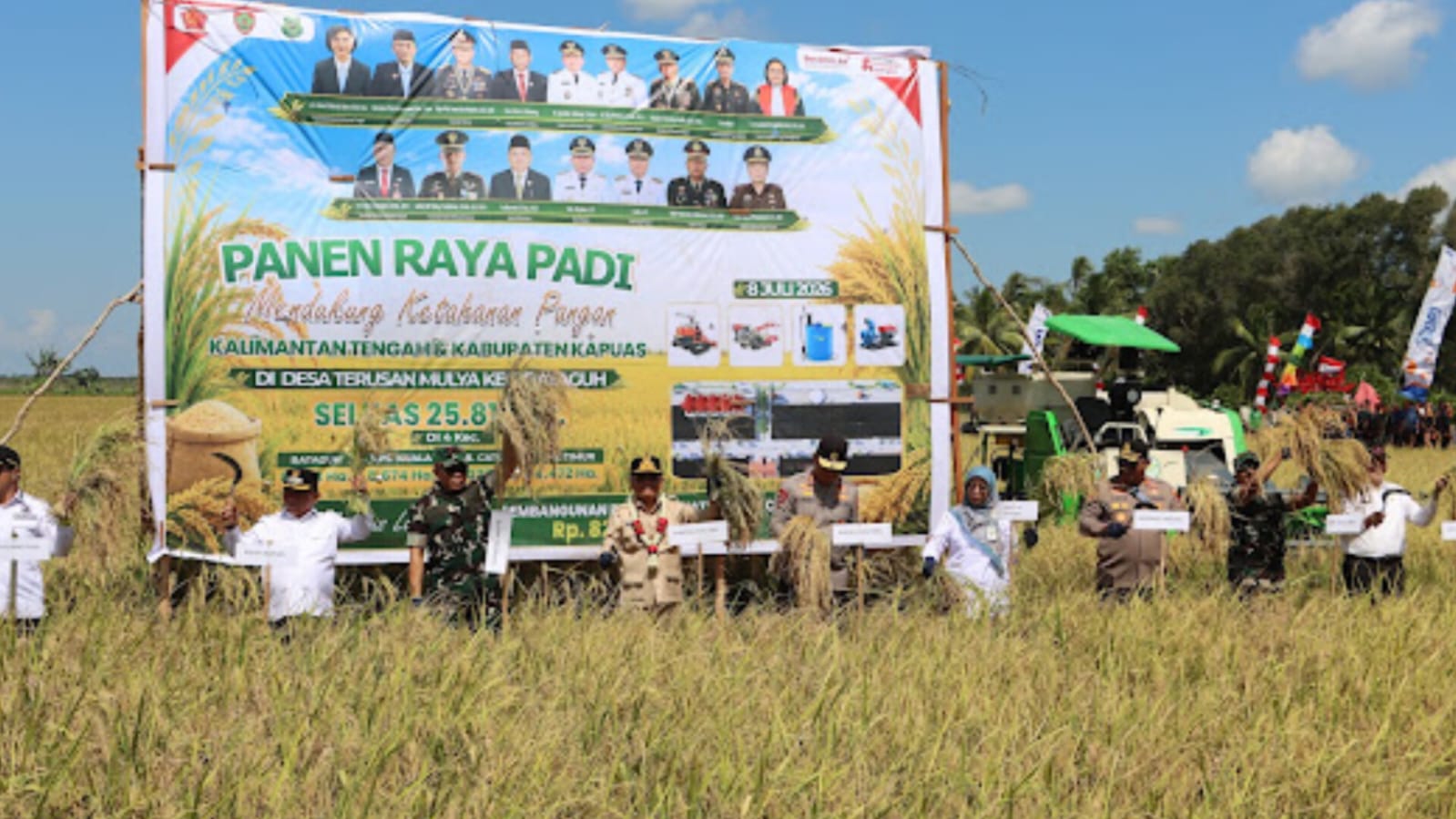 Wujud Sinergi Perkuat Swasembada Pangan, Kapolda Kalteng Panen Raya Padi Bersama Gubernur Di Kapuas