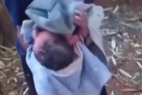 Bayi Ditemukan Masih Hidup di Kemejing 1 Gunungkidul, Awalnya Diduga Suara Kucing