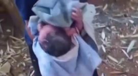 Bayi Ditemukan Masih Hidup di Kemejing 1 Gunungkidul, Awalnya Diduga Suara Kucing
