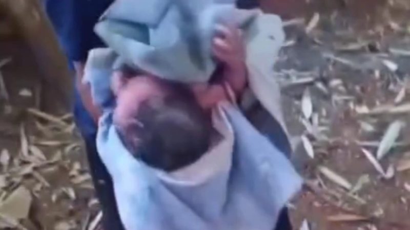 Bayi Ditemukan Masih Hidup di Kemejing 1 Gunungkidul, Awalnya Diduga Suara Kucing