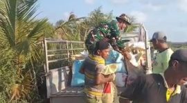 Babinsa Pasiran Jaya Turun Gunung Bantu Cor Jalan Jalur 46/47 Hingga Malam, Wujud Nyata Kemanunggalan TNI-Rakyat