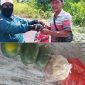 Semangat Swadaya Membara di Jalur 46/47 Bratasena Adiwarna, Empat Donatur Tetap Rutin Salurkan Bantuan Harian